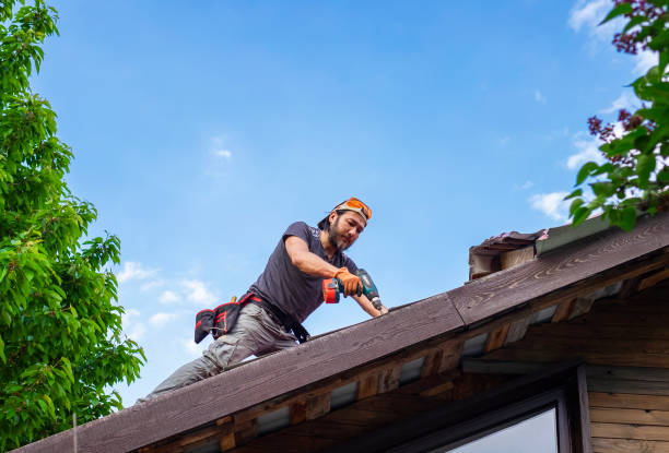 Best Emergency Roof Repair Services  in Paradise, NV