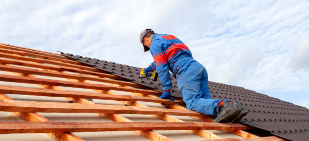 Best Metal Roofing Installation  in Paradise, NV