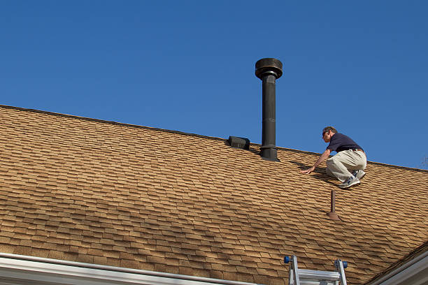 Best Storm Damage Roof Repair  in Paradise, NV